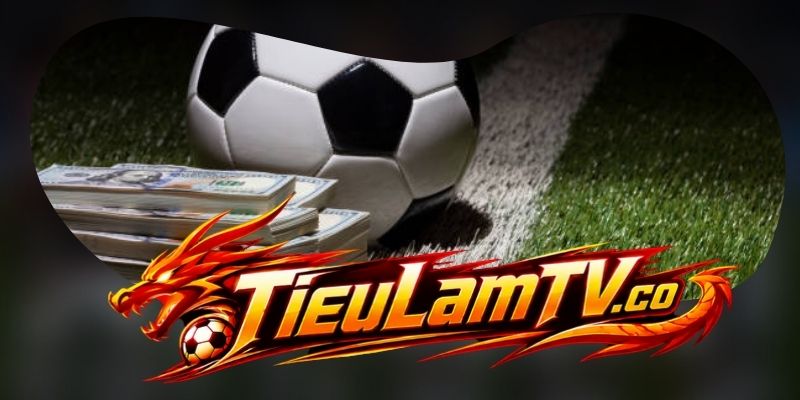 Miễn trừ trách nhiệm Tieulamtv trong quá trình cung cấp dữ liệu