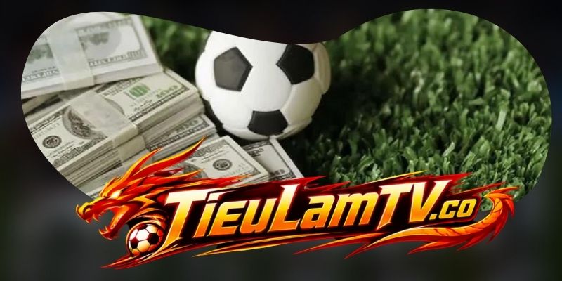 Những giải đấu nổi bật trên Tieulamtv